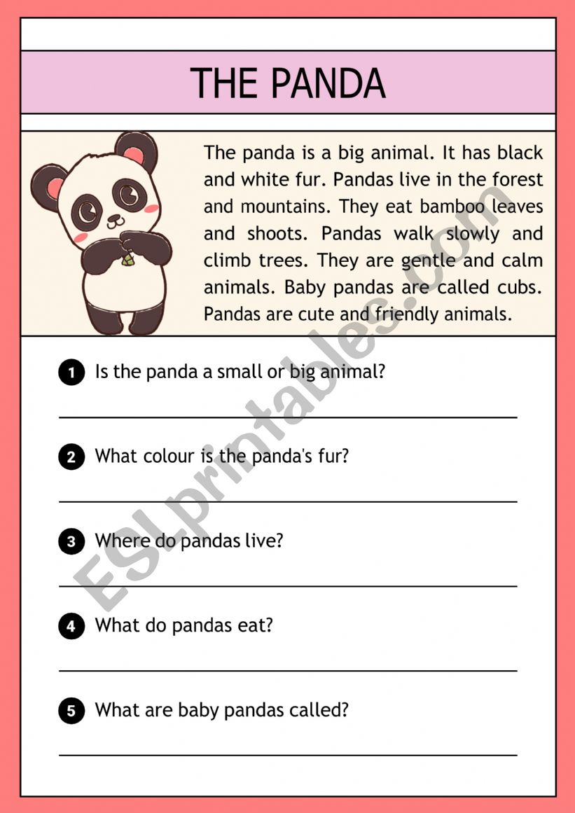 The panda -  reading comprehension