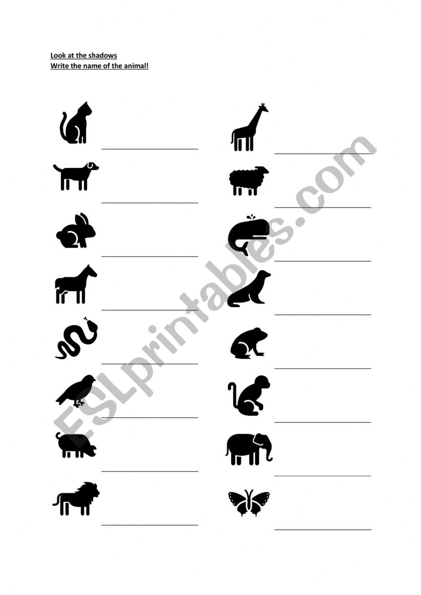 Animal shadows worksheet