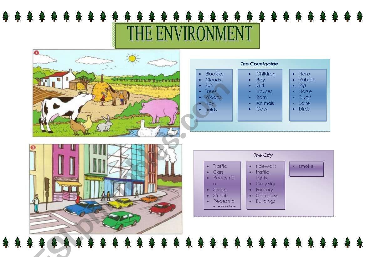 The environment worksheet