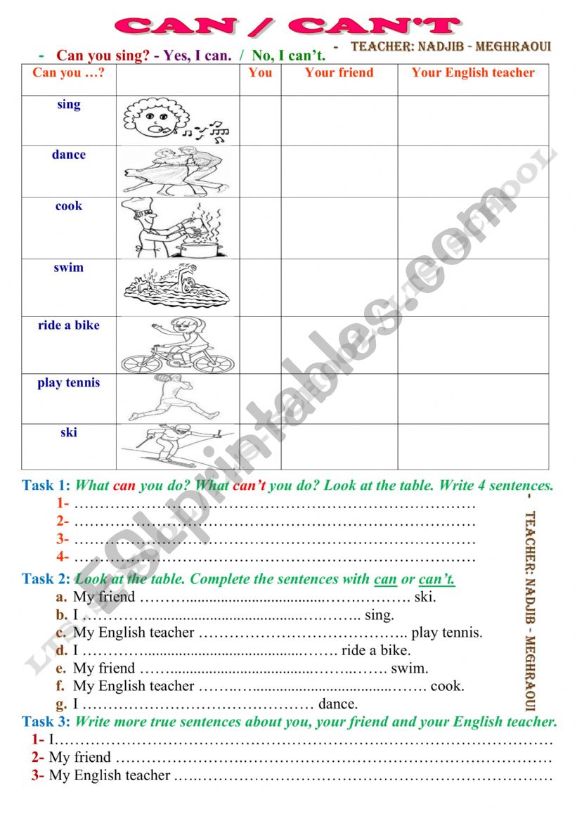 Can - Can�t 2 worksheet