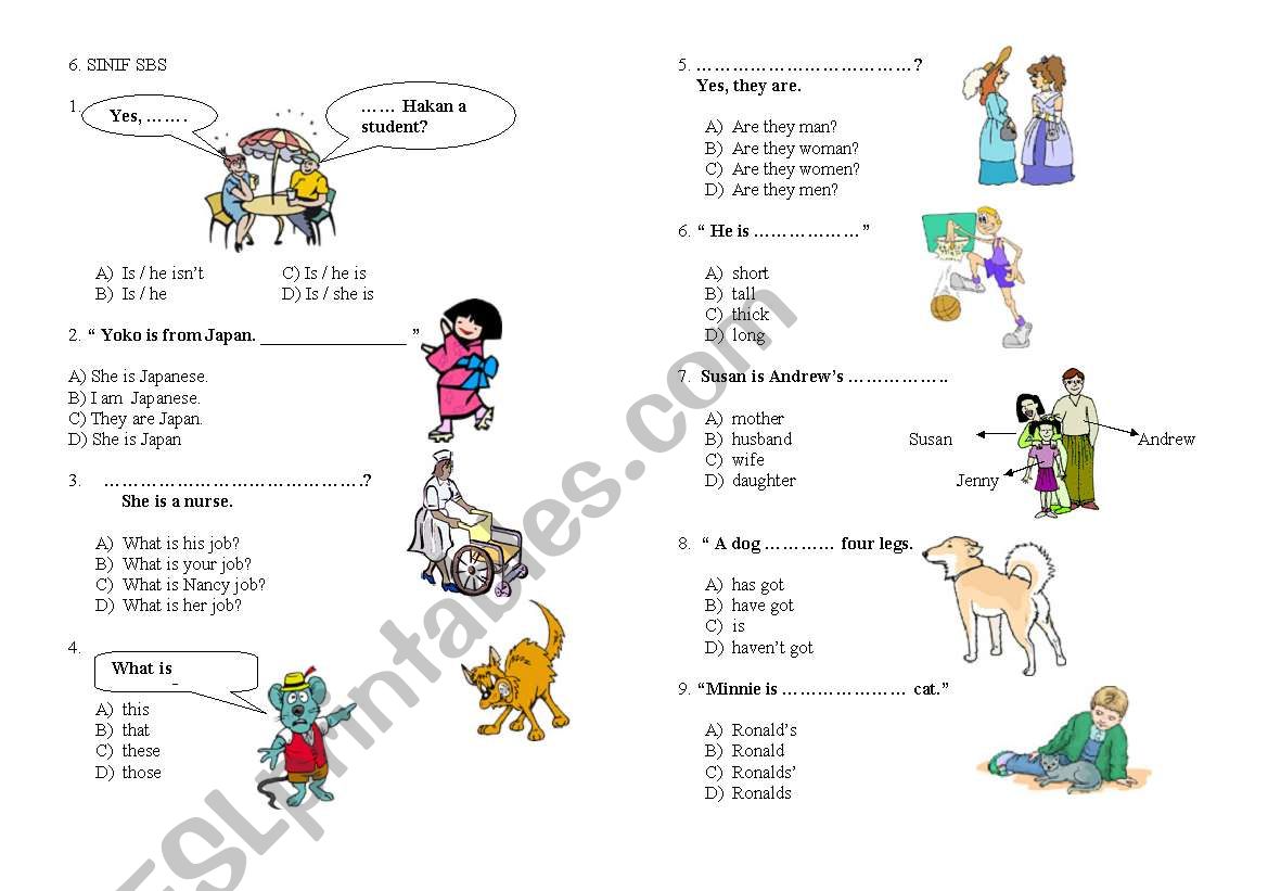 sbs examination sample test worksheet