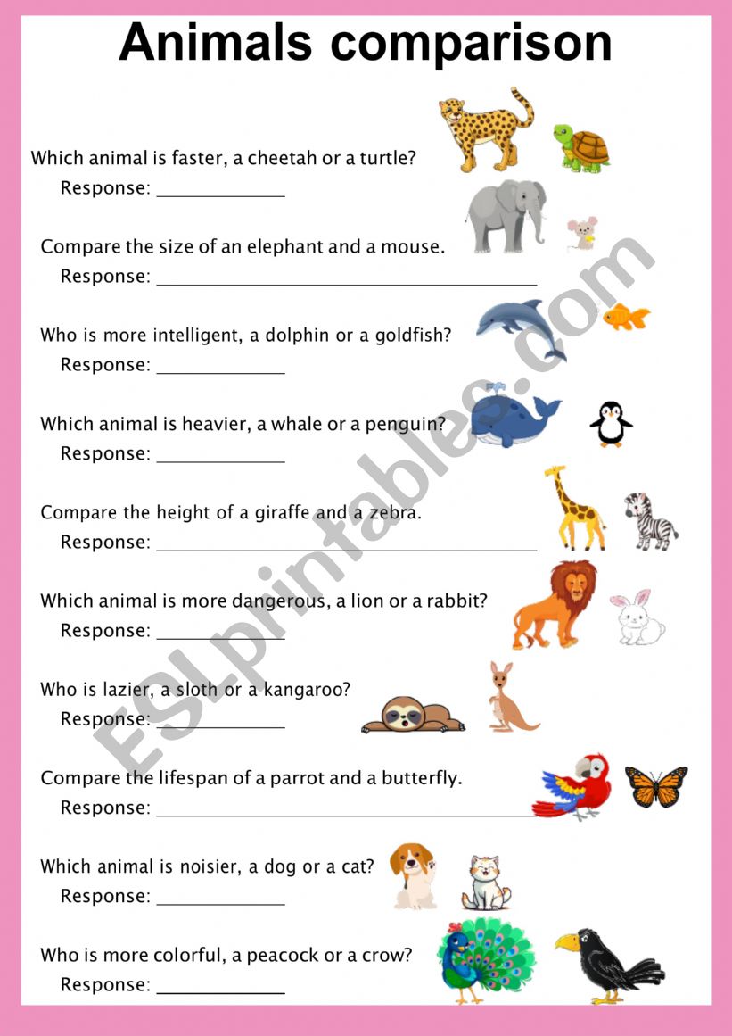 Animals comparison worksheet