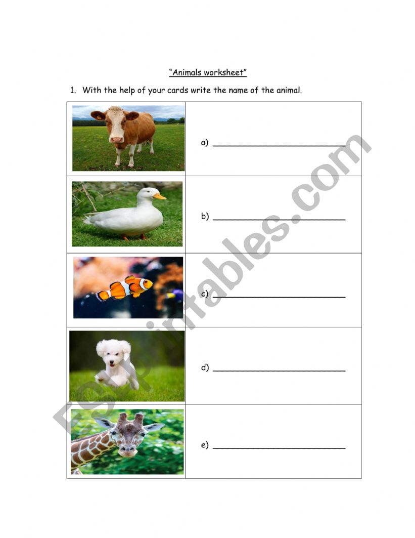 Animals name  worksheet