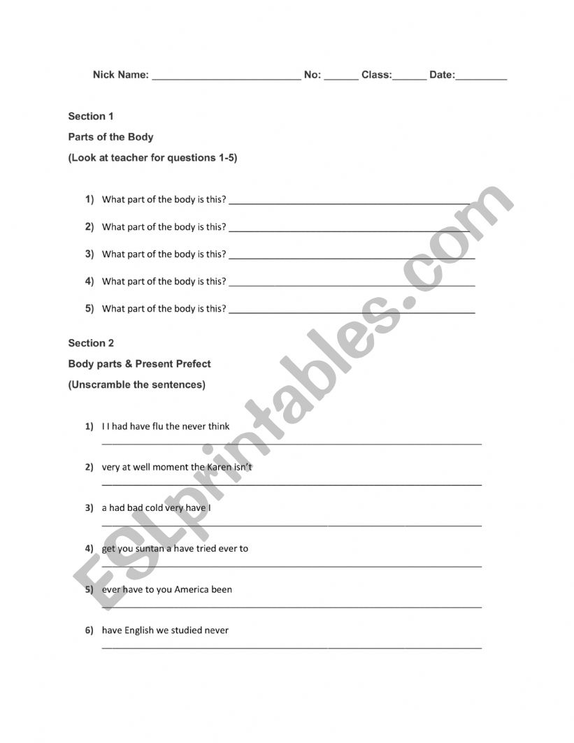 Present perfect  worksheet