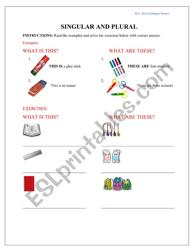 Singular and Plural worksheet