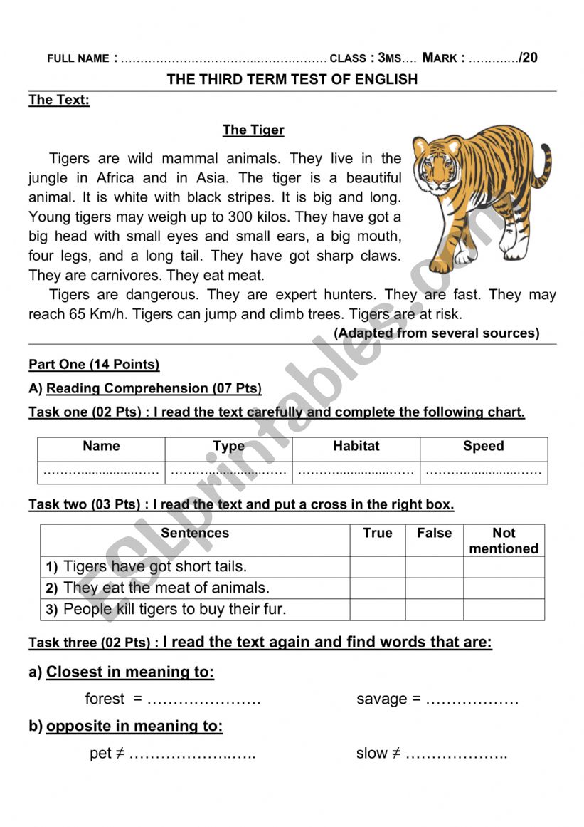 The Tiger worksheet
