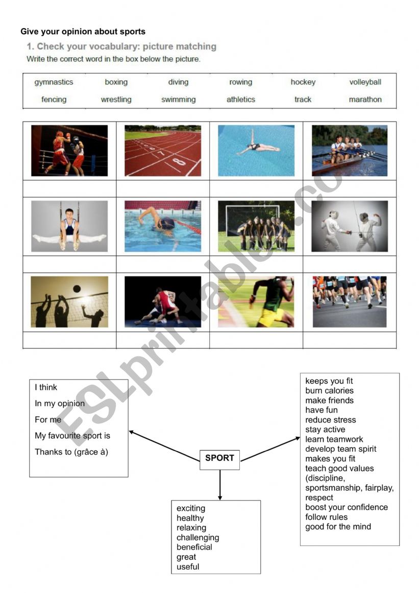 Give your opinion about sport worksheet