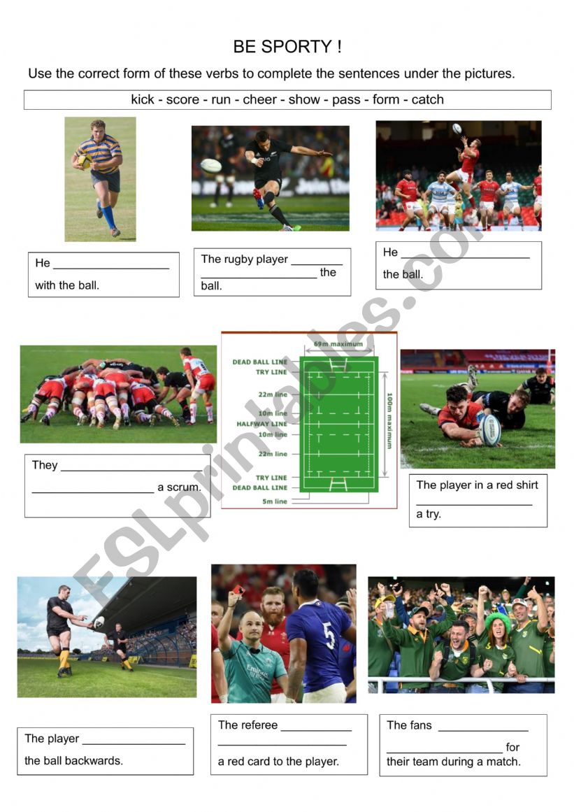 sport is great  worksheet