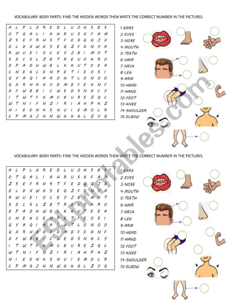 BODY PARTS WORD SEARCH worksheet