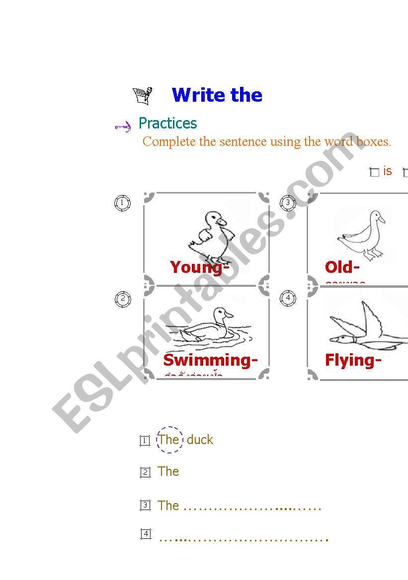 write the  sentence worksheet