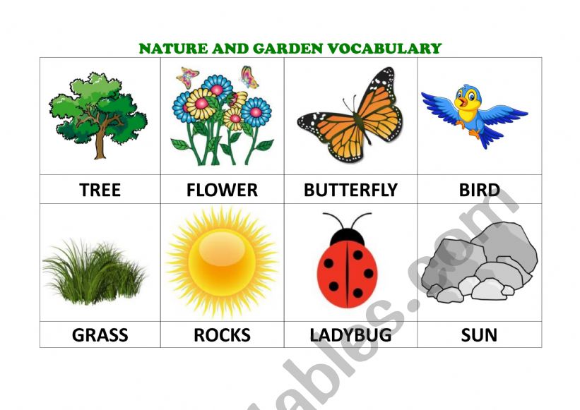 NATURE AND GARDEN VOCABULARY worksheet
