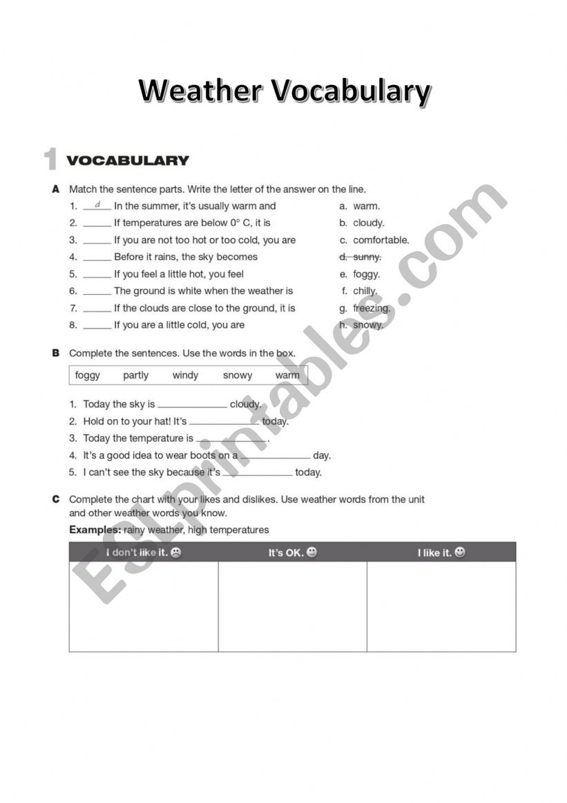 Weather Vocabulary worksheet