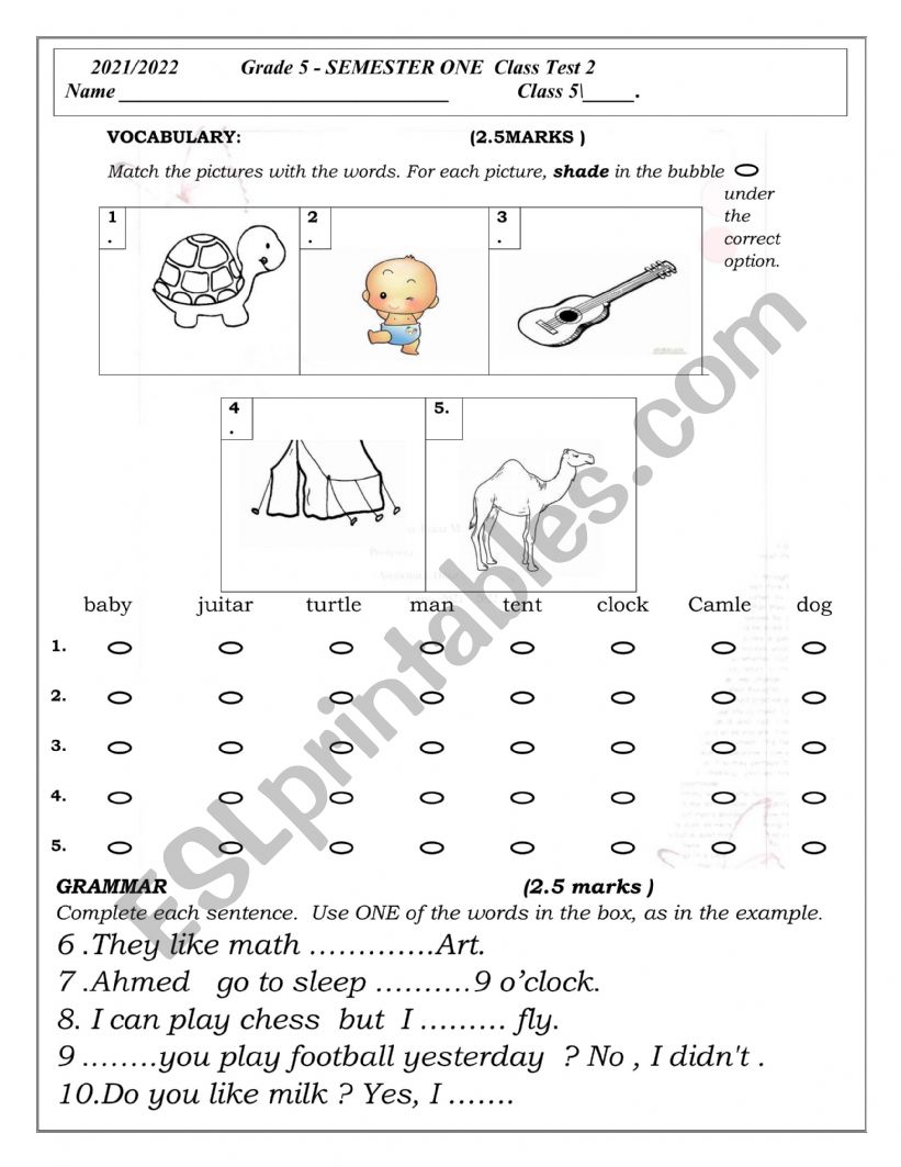 Grammar and vocabulary test  worksheet