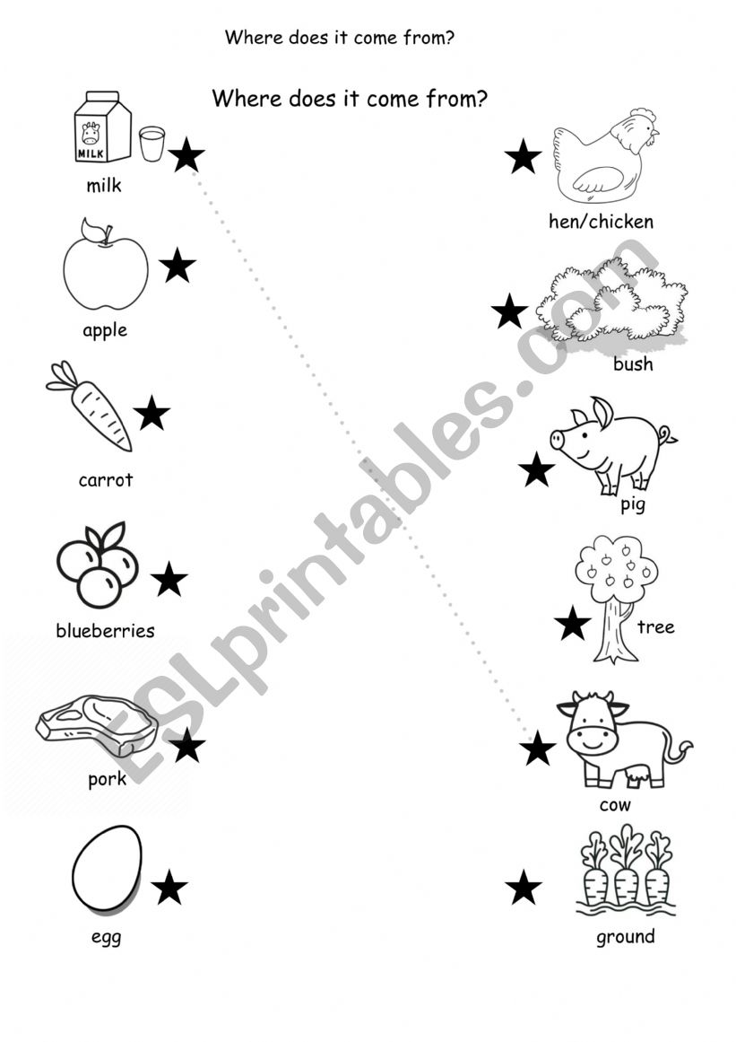 Where does your food come from?