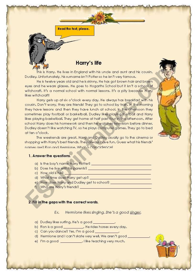 Harrys life worksheet