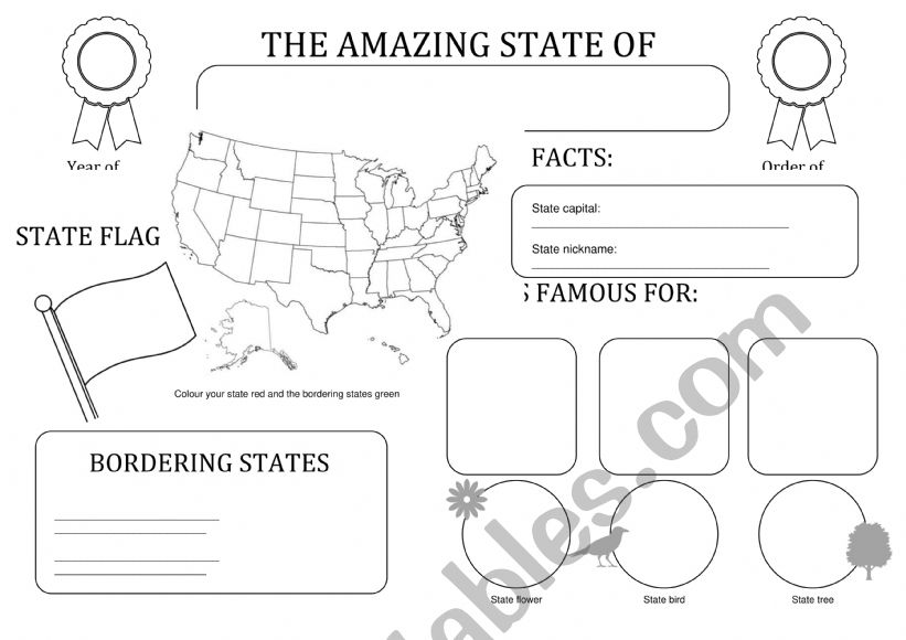 US States Poster worksheet