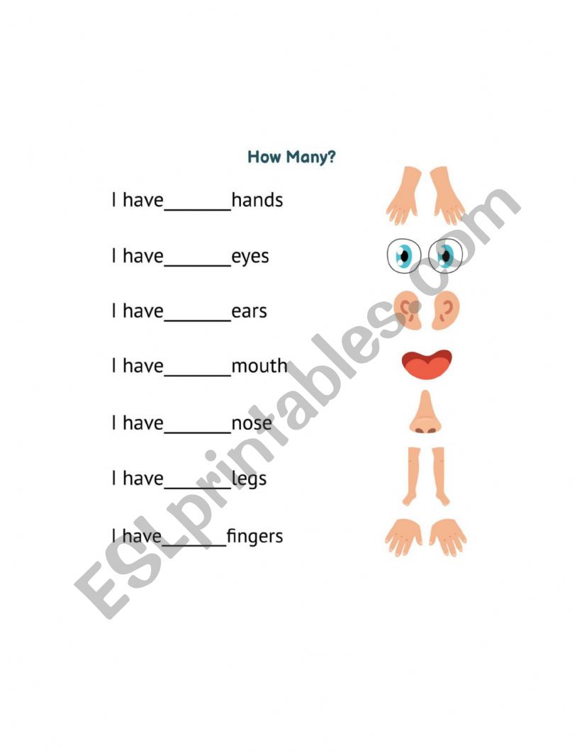 body parts worksheet