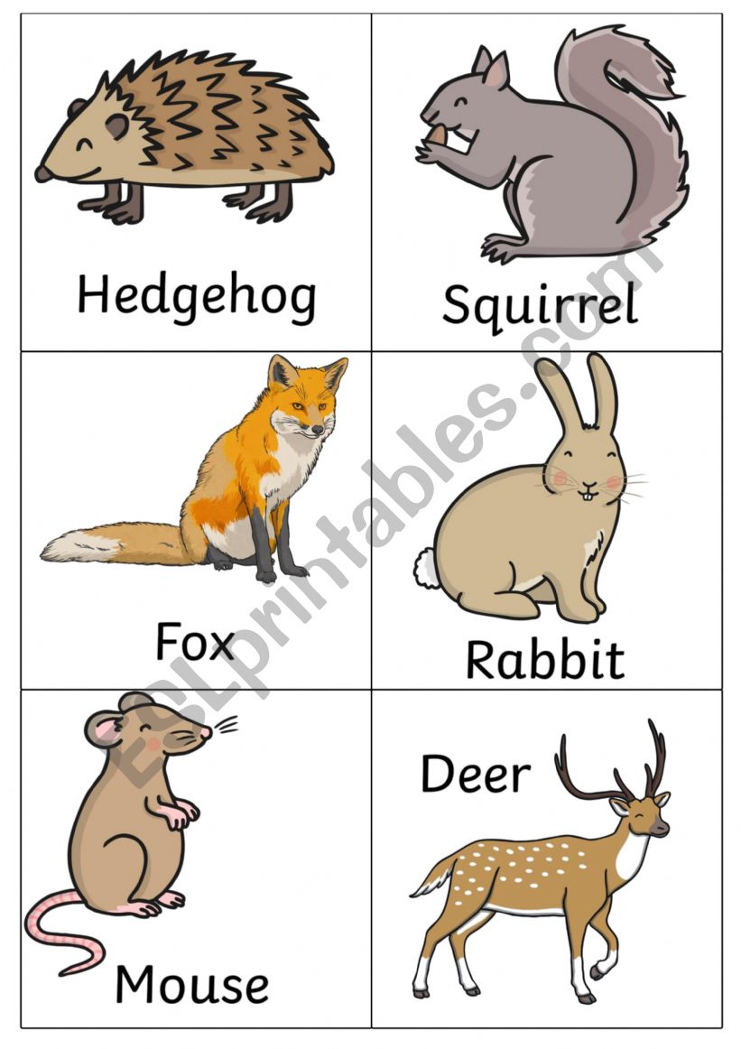 British Wildlife Flascards worksheet