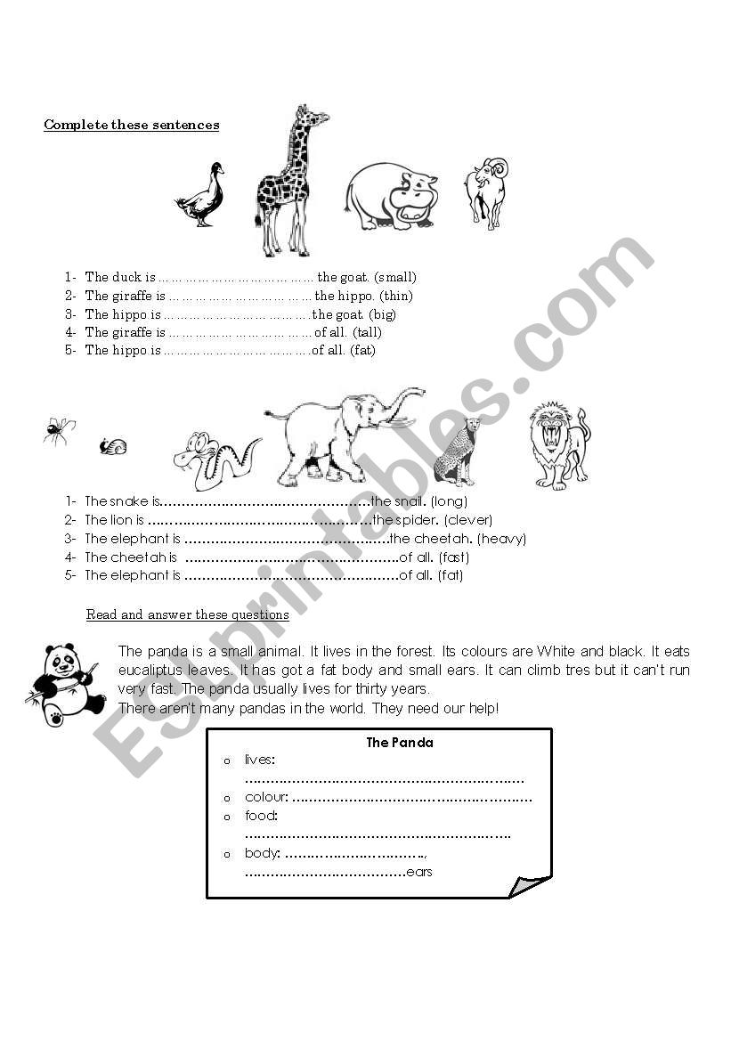 Animals Comparatives and Superlatives