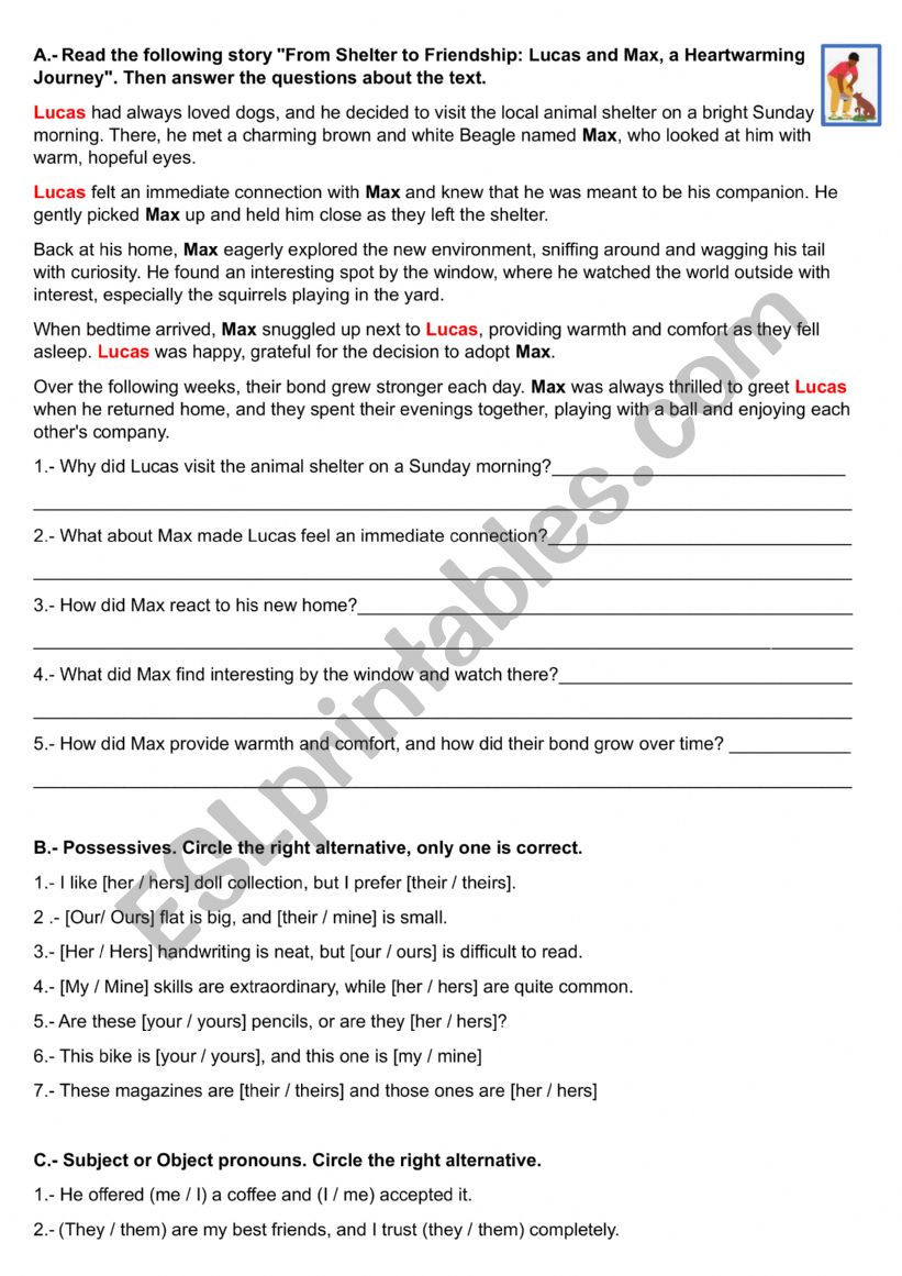 Pronouns worksheet