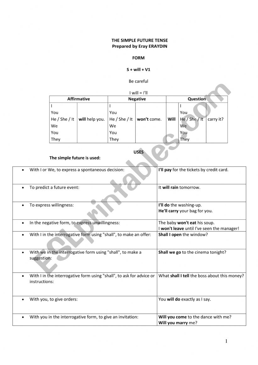 THE SIMPLE FUTURE TENSE worksheet