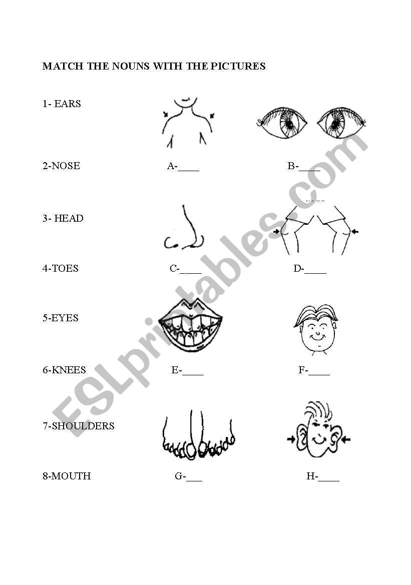 BODY PARTS handout worksheet