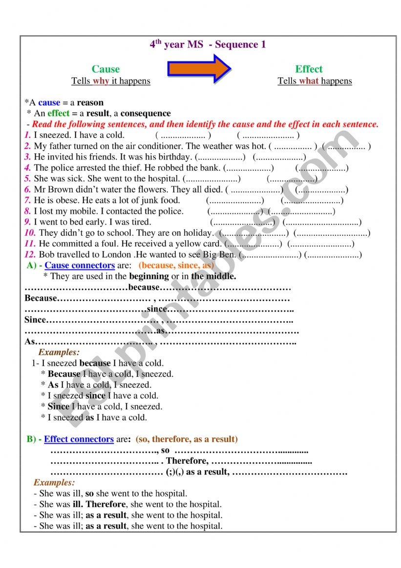 Cause and Effect worksheet