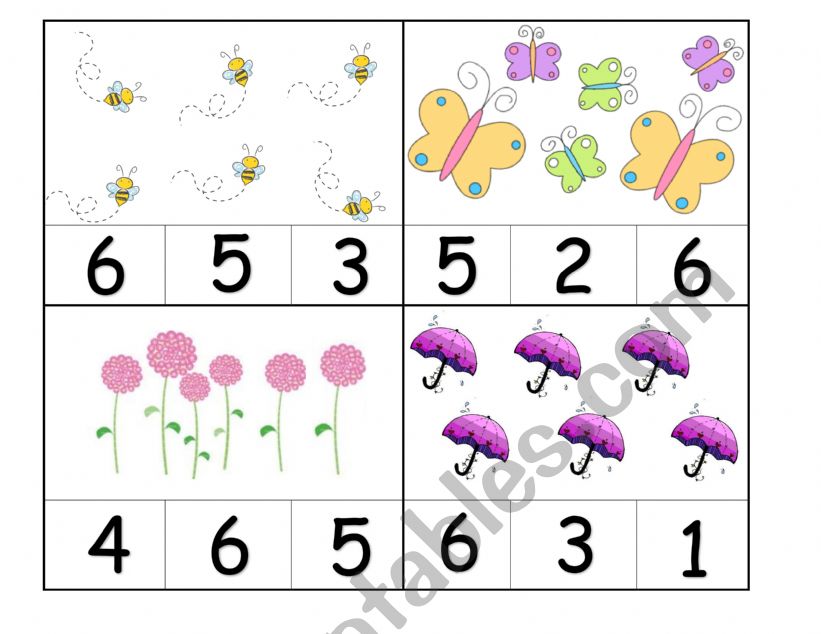 Spring worksheet worksheet