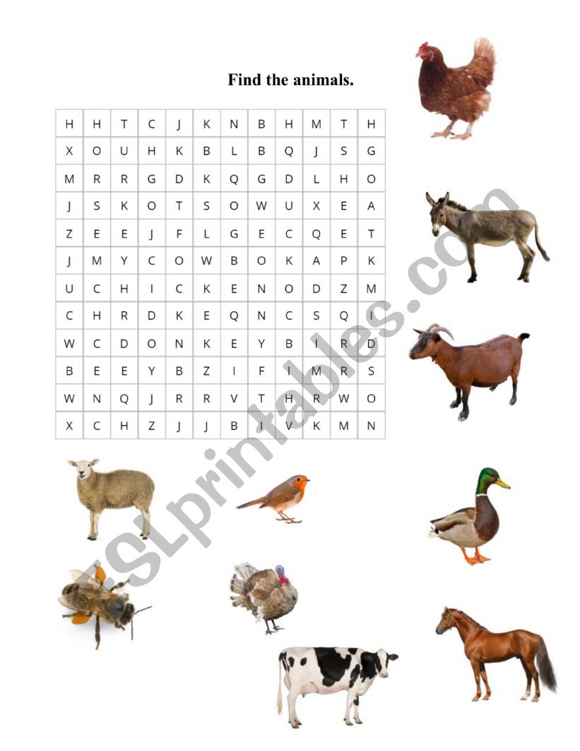 Find the words - animals on a farm