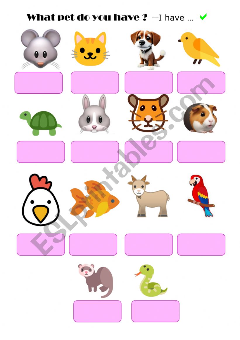 What pet do you have?  worksheet