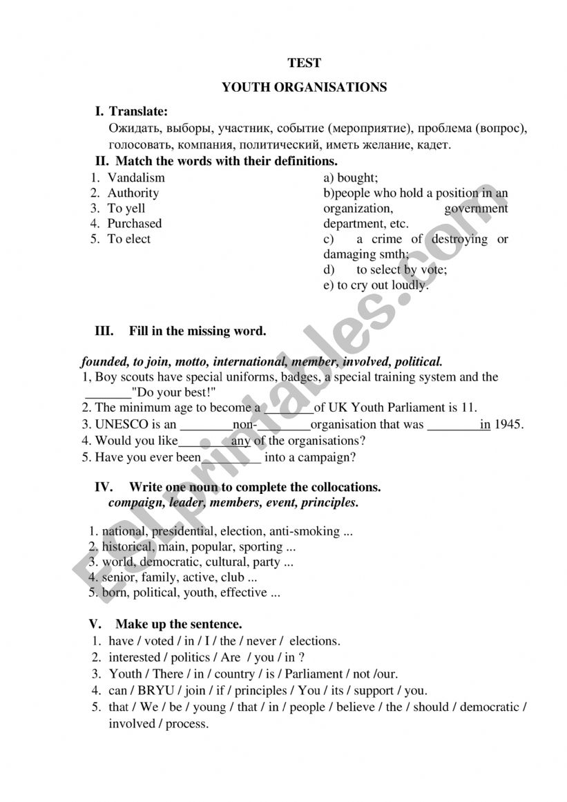 Youth organisations worksheet