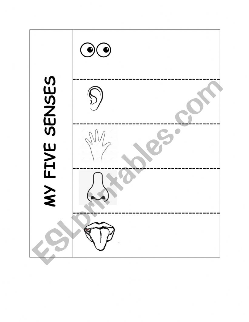 Mi five senses  worksheet