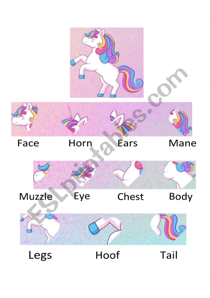 Unicorn body parts worksheet