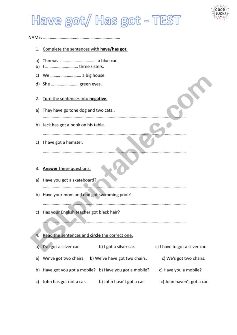 Have/has got test worksheet