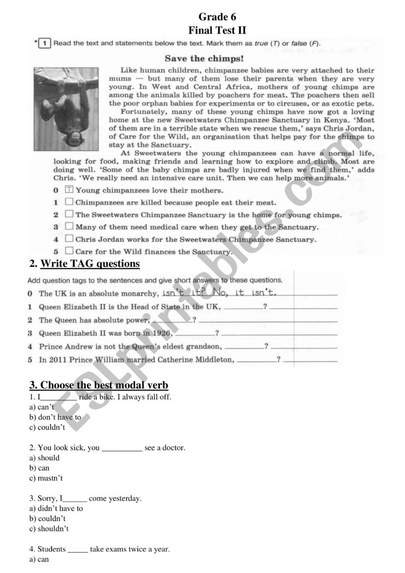 test worksheet