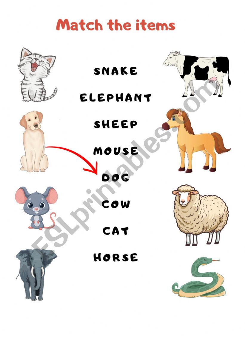 Basic Animal Matching worksheet