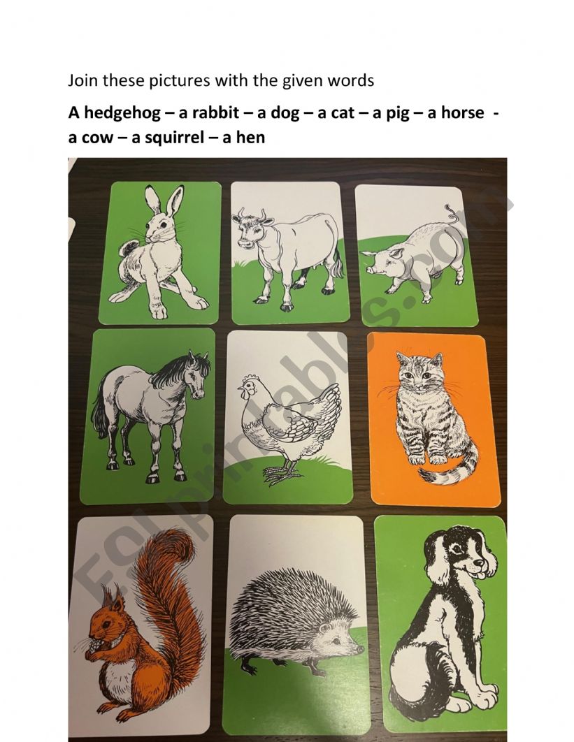 Do you know these animals? worksheet