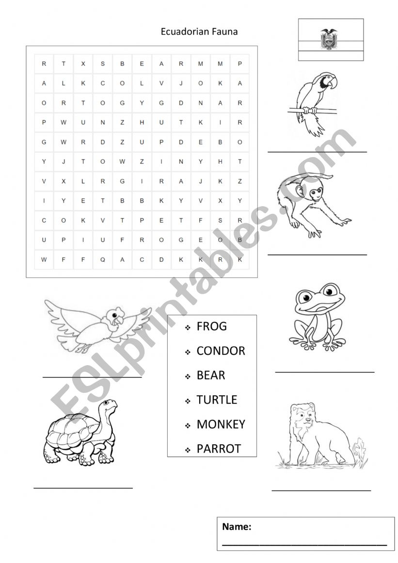 Ecuadoria Fauna worksheet