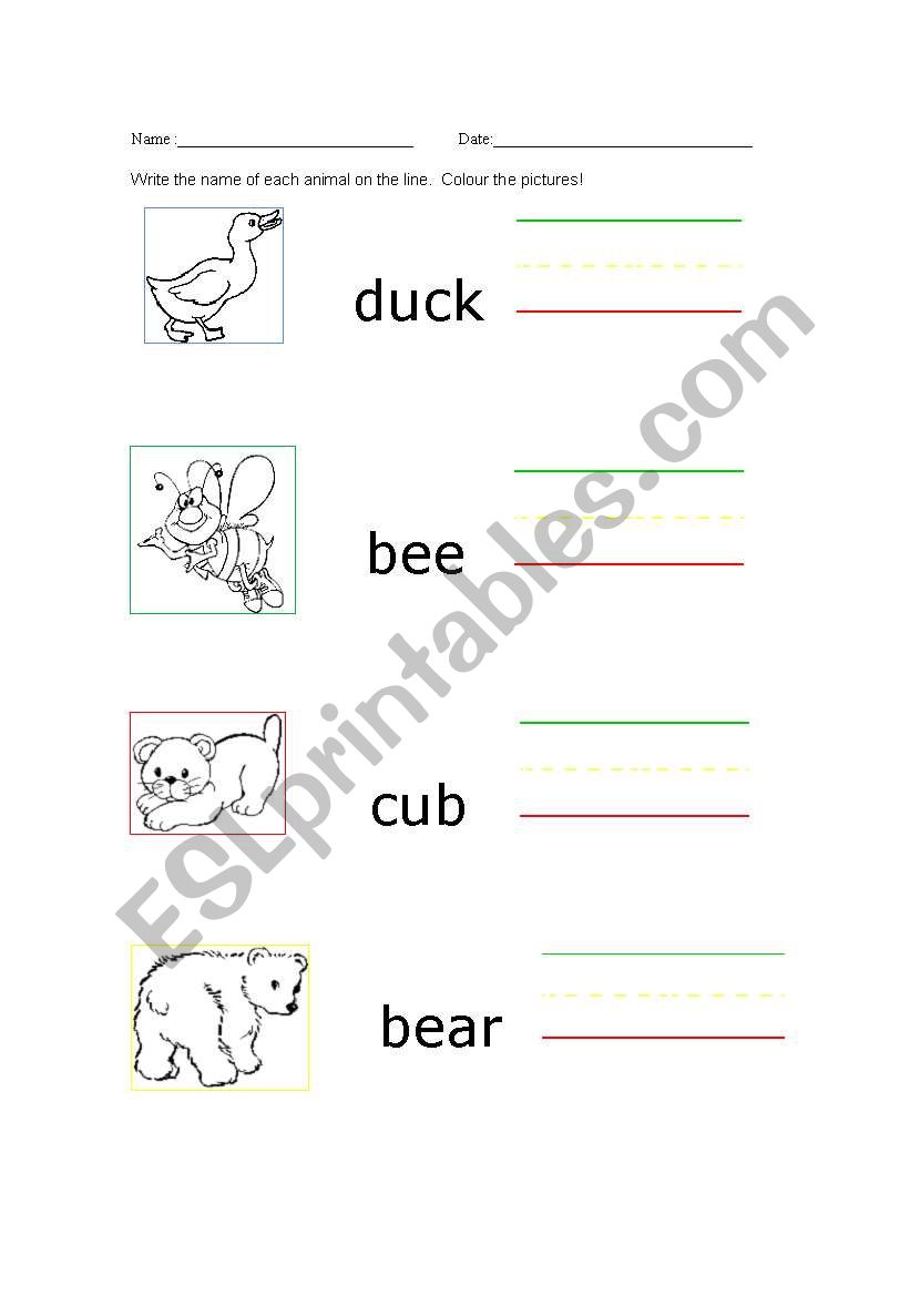 Animals worksheet