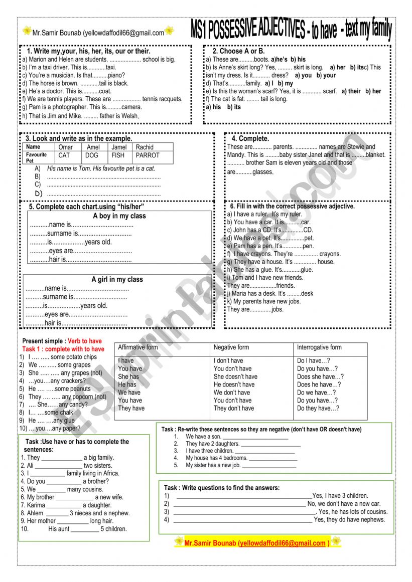 possessive adjectives & verb to have 