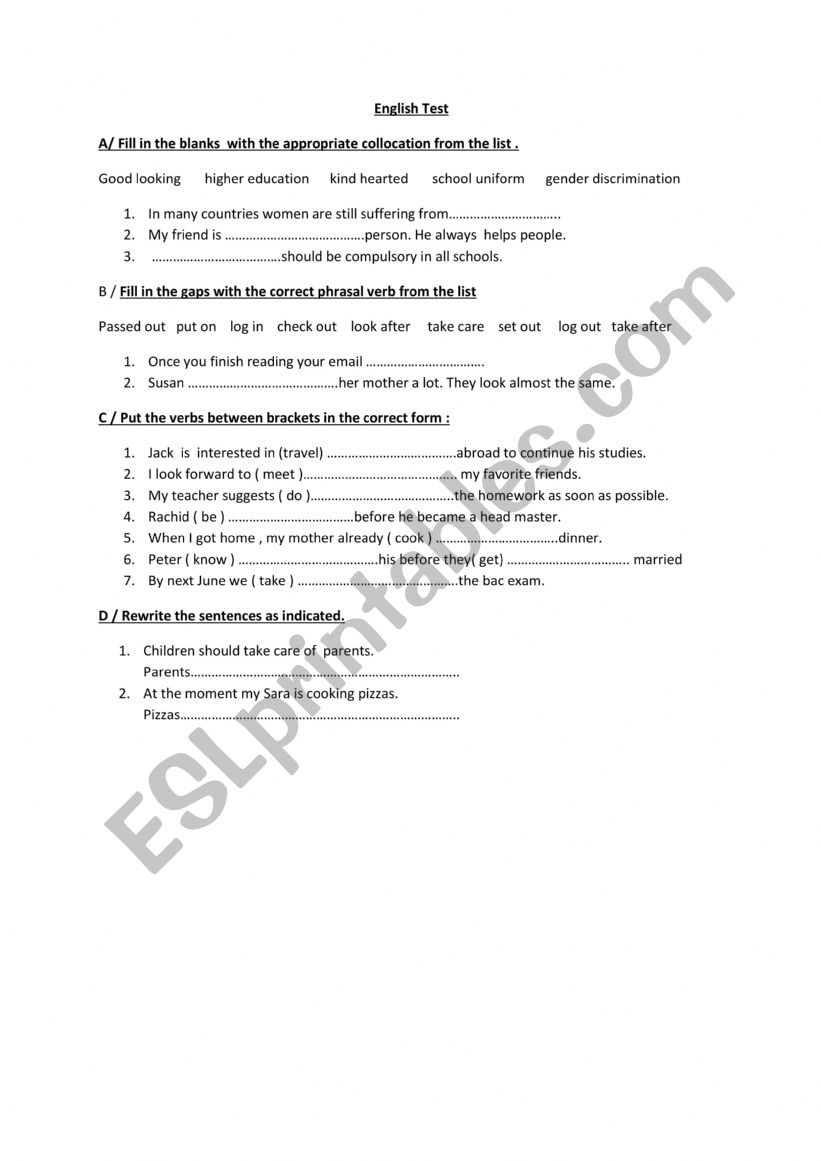 Language  Test   worksheet