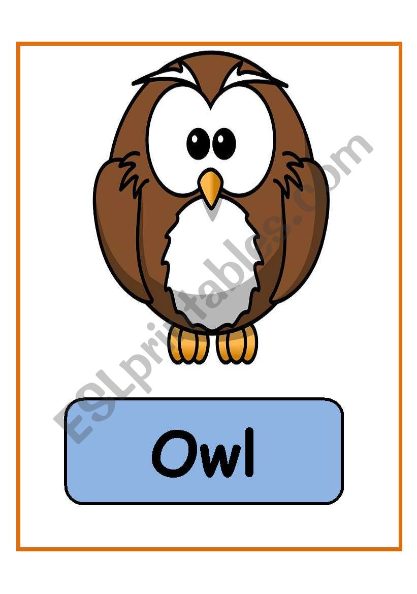 ANIMALS FLASHCARDS PART 3 (17.09.08)