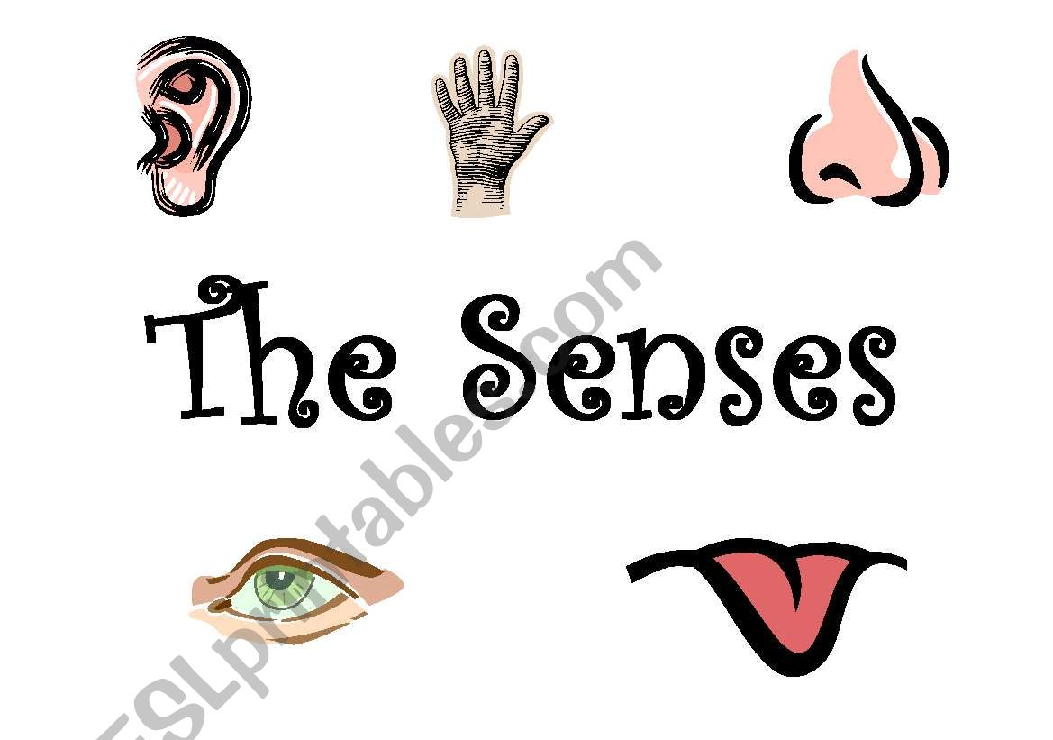 The Senses worksheet