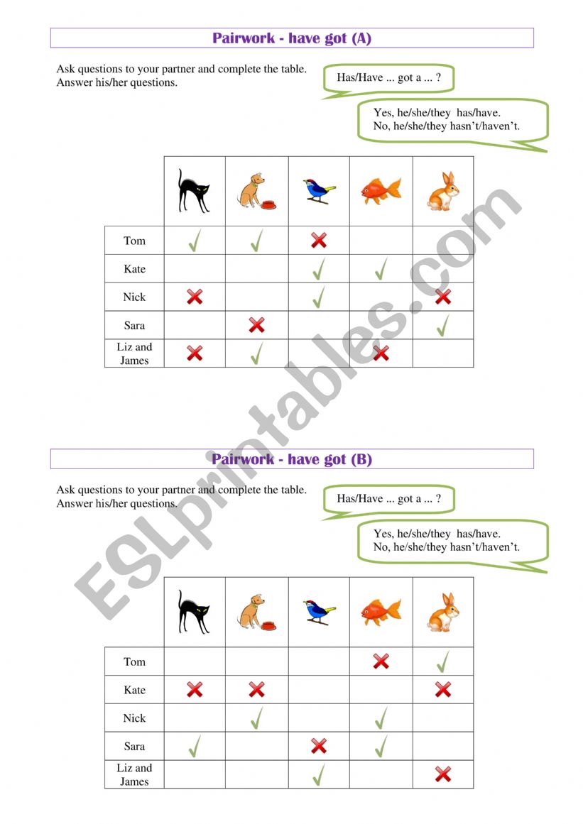 Pairwork - have got worksheet