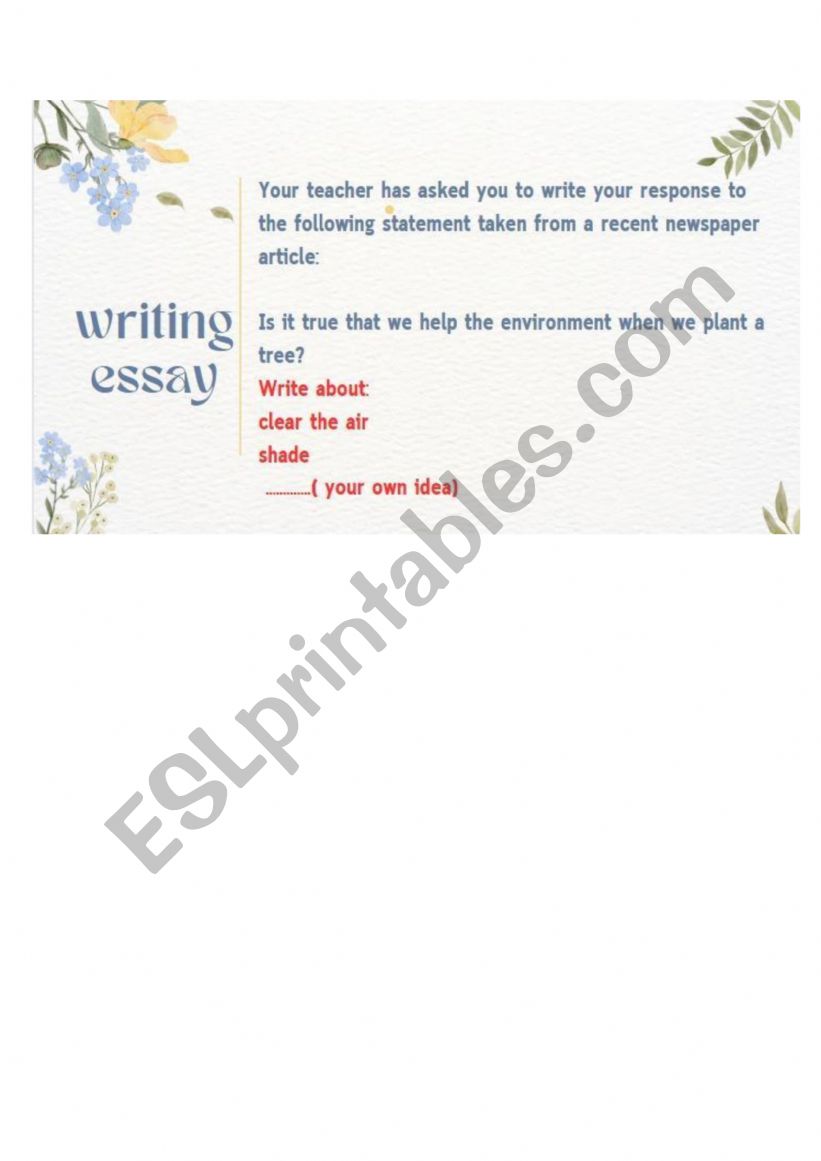 essay  worksheet