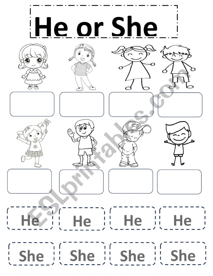 HE or SHE worksheet