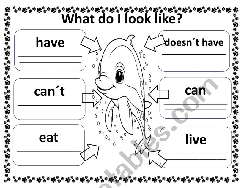 animals  worksheet