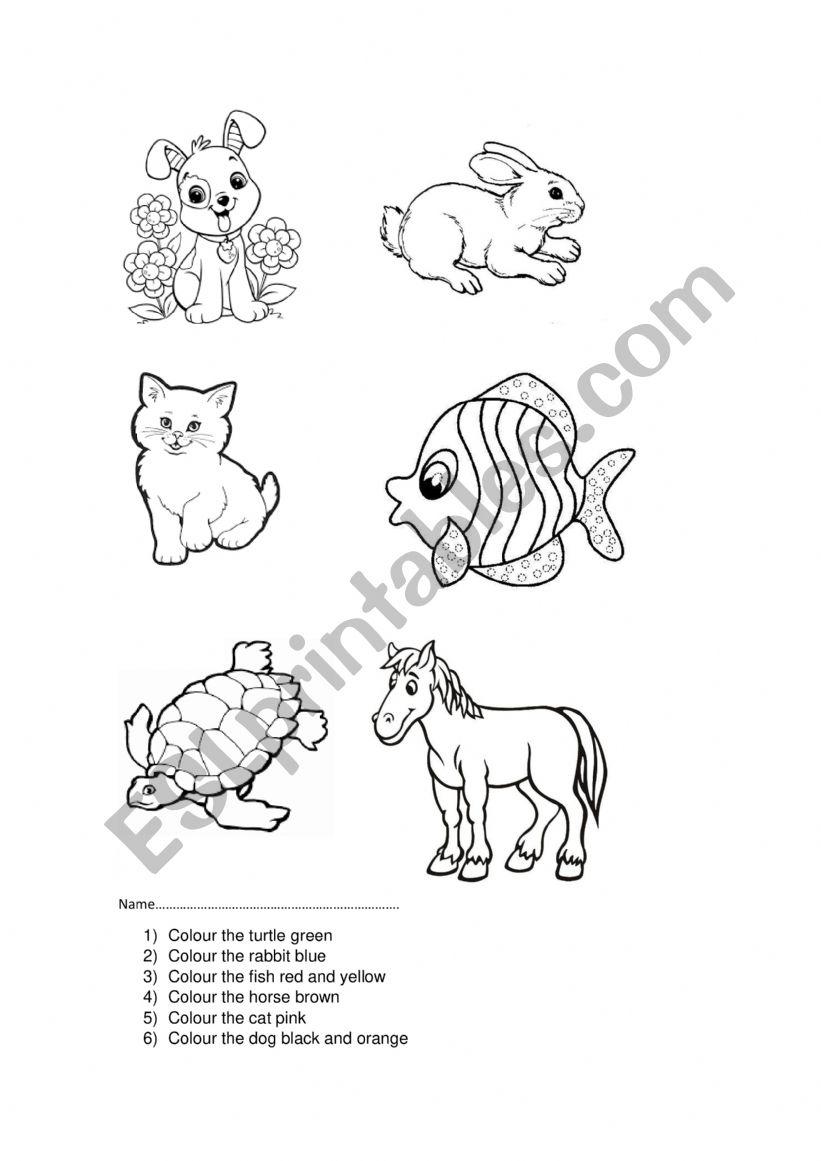 Animals worksheet