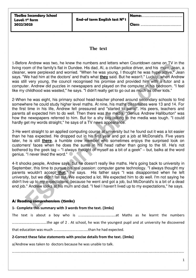 End -Term Test N1 worksheet