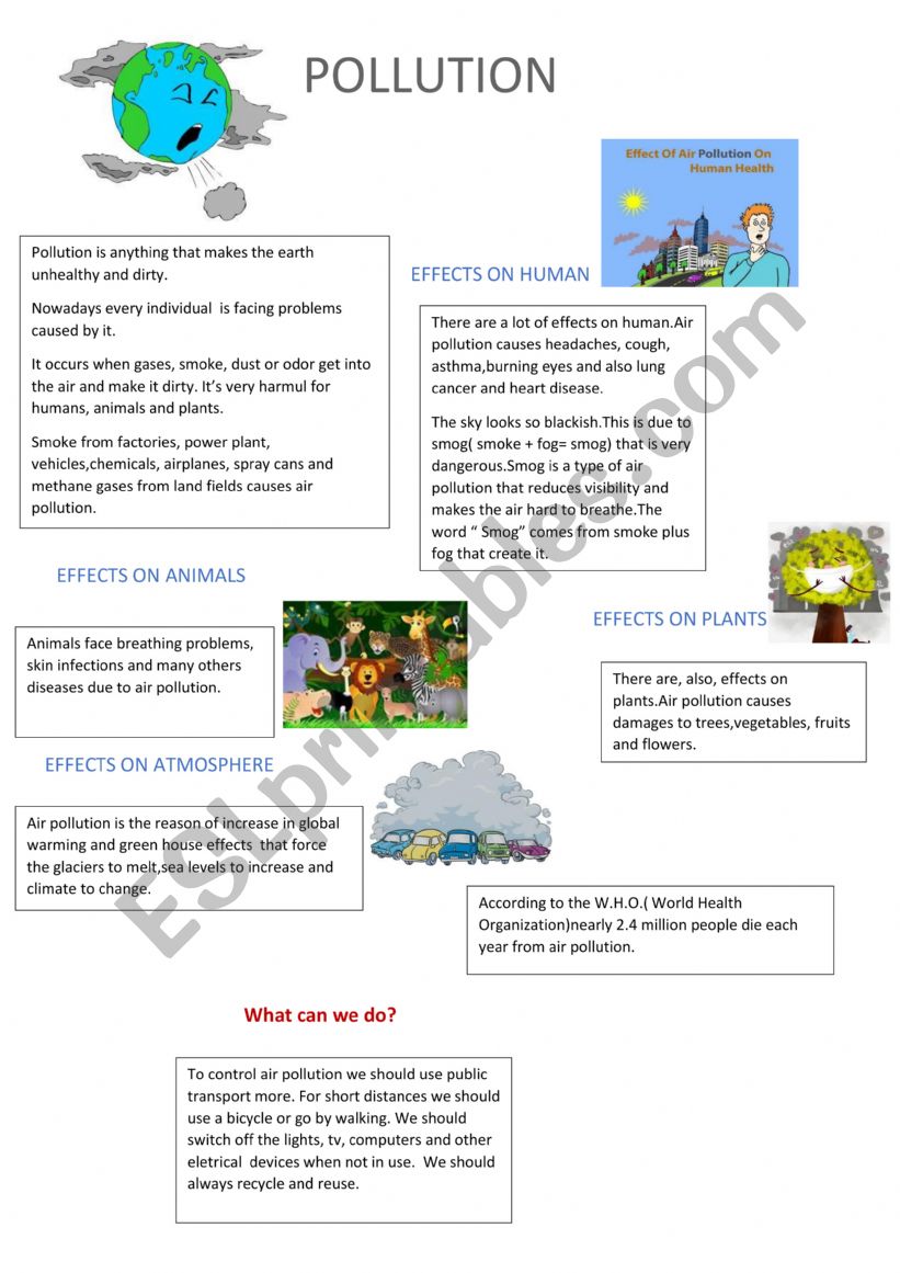 Effects of pollution worksheet